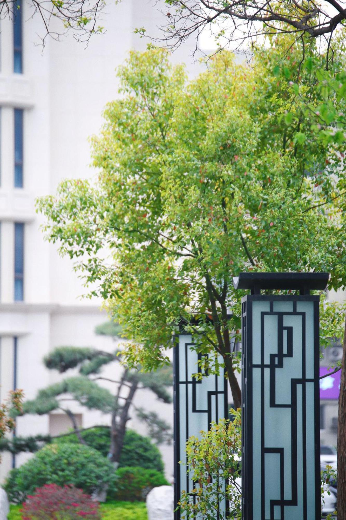 Holiday Inn Zhengzhou Zhongzhou By Ihg 외부 사진